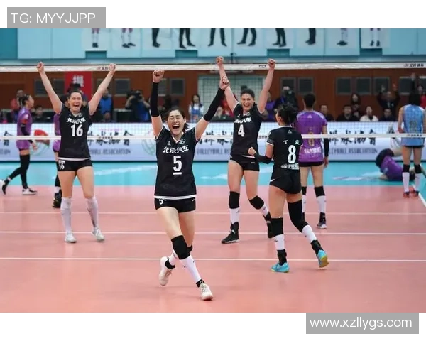 北京排球队实力分析与数据解读探讨球队表现与未来发展潜力