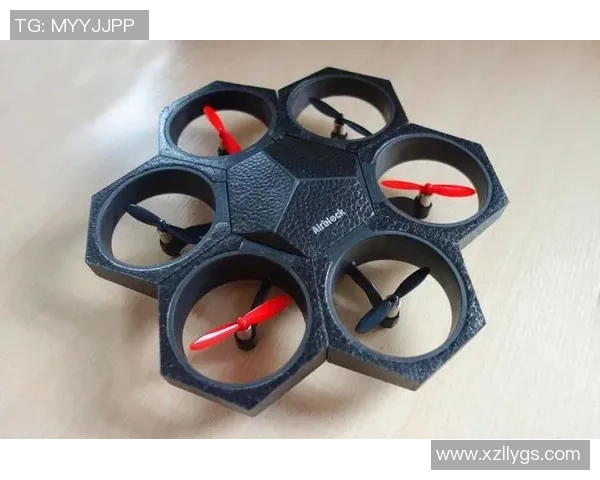 刘娜独家分享网球心得与技巧助你提升球技的全面指南