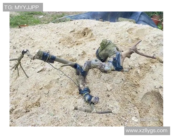 北京极限运动队耐力争议引发热议运动员表现与训练方式的深度探讨